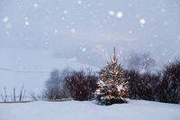 Christmas Scenes Images & Christmas Scenes Wallpaper #christmassceneswallpaper #christmasscenesimages #beautifulchristmasscenes #christmasscenes #christmassnowscenes #christmaswinterscenes #christmastreescenes #christmaswallpaperscenes #christmasscenesphotos #christmasscenesclipart