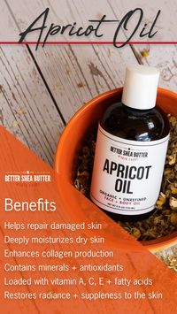 Apricot Oil comes from the center of the apricot kernel. It has been used for centuries in health and beauty and is popular to this day for its amazing skin and hair benefits. Apricot Oil is known as a non-irritating, soothing oil that is easily applied and penetrates deeply into the skin, leaving it looking and feeling soft and silky.