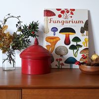 Portare la Natura in casa – La casa tra le nuvole