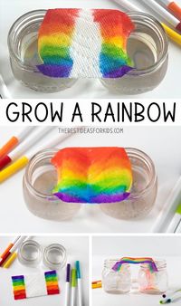 Grow a Rainbow Experiment - such a fun and easy science experiment for kids!