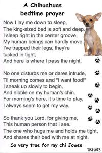 This is so true for all DOGS! More