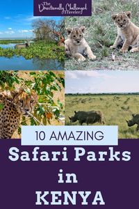 Is spotting the big 5 on your bucket list? Here are 10 incredible safari parks in Kenya - where to go, where to stay and what to see!