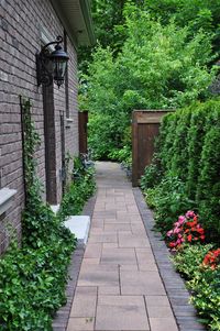 Hometalk :: Ideas for that Narrow Space in Between Suburban Homes