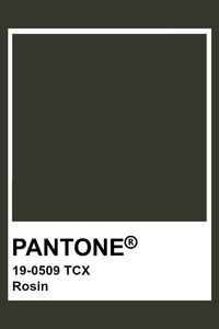 PANTONE 19-0509 TCX Rosin