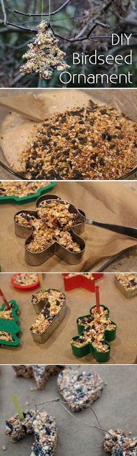 A festive craft the kids will enjoy making and the the birds will love! A homemade birdseed Christmas ornament is inexpensive and exactly what your naked, winter tree needs. www.ehow.com/...