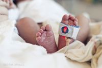 NICU photography