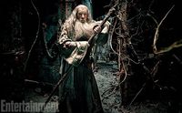THE HOBBIT THE DESOLATION OF SMAUG Image 06