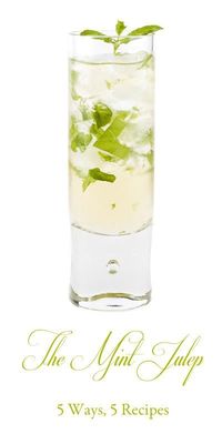5 Mint Julep Recipes. Make these Kentucky Derby cocktails if you’re hosting a get together to celebrate the famed horse races.