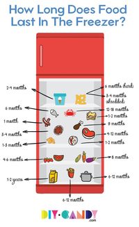 How long does food last in the freezer? Find out how long you can store and eat meat, veggies, ice cream, dairy, desserts, and more! via @diy_candy