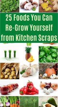 25 fruits and vegetables you can re-grow with a little bit of effort. Perfect gardening projects to do all year round. #frugal #gardening #vegetables #fruits