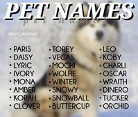 - Pet names, Dog names, baddie names, name ideas