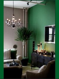 #tv room #emerald walls #summer house