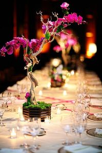 Orchid Centerpiece - Love it! Its nature-et but not too much. Allows potted plants while Not being too forresty but more secret garden.