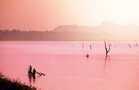 Os lagos rosas têm se popularizado entre turistas e fotógrafos do mundo. Sua cor impressionante ocorre graças a presença de microalgas como a Dunaliella salina que vive em locais com altos níveis de concentração de sal;