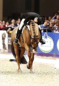 The post performance moment of victory is always my favorite at a horse show!