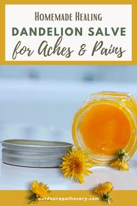 Learn how to make this dandelion salve recipe using foraged dandelions! This homemade herbal salve is especially good for sore muscles, joints, and dry skin. #salve recipe, dandelion recipes.