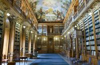 How To Decorate Your Dream Library - The Toast