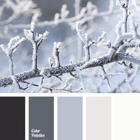 almost black, beige color, graphite gray, gray color, light gray, shades of gray, shades of winter, snow color