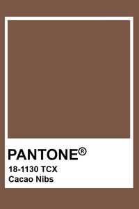Pantone Cacao Nibs (old name: Aztec)