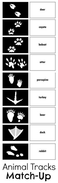 Relentlessly Fun, Deceptively Educational: Animal Tracks Match-Up Game Printable