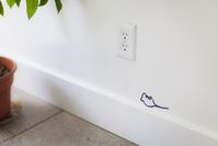 Learn how to absorb the terrible dead mouse smell and otherwise manage decomposing rodents stuck behind walls, above the ceiling or under floors.
