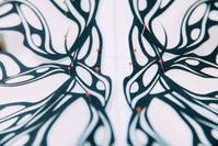 Iris van Herpen Finds Beauty in “Transmotion” for the Fall 2020 Couture | Vogue