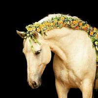 One of the most beautiful photos I've ever seen! I wanted to share it with you…