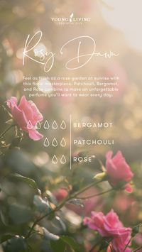 This DIY Rosy Dawn roll-on blend will make you feel as fresh as a rose garden at sunrise, as it's a floral masterpiece. It combines 5 drops of uplifting Bergamot, 3 drops of calming Patchouli, and 2 drops of intoxicating Rose essential oil. Fill the rest of the bottle with V-6 or coconut oil, olive oil, or grapeseed oil. #spring #aromatherapy #mood #diy #recipe #essentialoils #perfume #gift #yleo