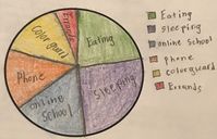 5-Day Lesson Plans - Turner’s Graph of the Week