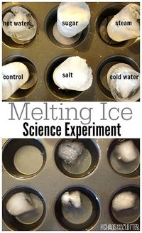 This melting ice science experiment is perfect for exploration for children and for science fairs.