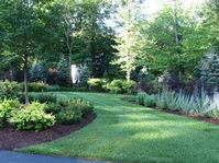 privacy fences with trees for backyards at DuckDuckGo