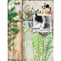 Tiny Miracles | The Lilypad