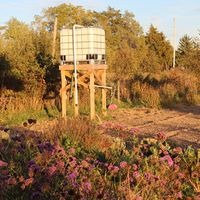 Conserve Water with a rainwater cistern tank and gravity watering system. Read about it in the Homesteading and Livestock Blog from MOTHER EARTH NEWS magazine.