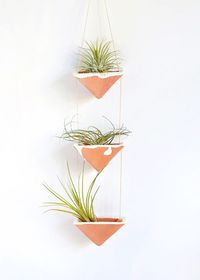 48. Decoração criativa com air plantas no vaso de cerâmica – Foto Squirrelly Minds #plantasaéreas #plantasaereasdecoracion #plantasaereastipos