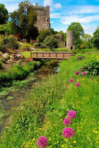 Blarney Castle, County Cork, Ireland