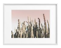 "Summer Cactus" - Art Print by Wilder California in beautiful frame options and a variety of sizes.