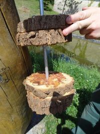 Chimp enrichment