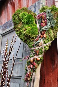 Feeling mossy!