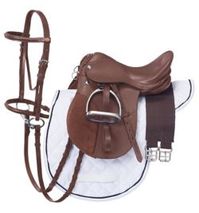 Silver Fox Miniature AP English Package 12 Brown