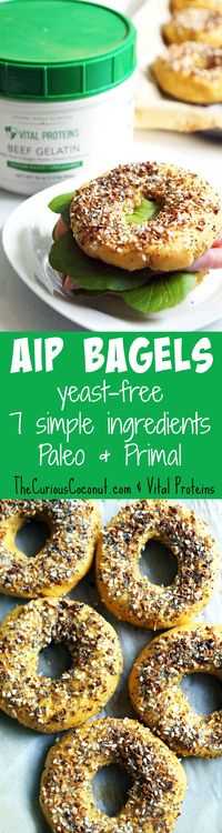 AIP Everything Bagels (Yeast-Free) — The Curious Coconut