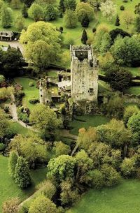 At the Blarney Castle in Ireland.