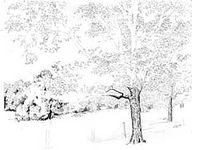 How to Draw Trees (Part 1) by Diane Wright