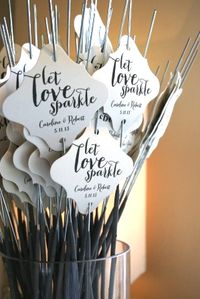 Let Love Sparkle. This could be a fun party idea for many occasions. http://emfl.us/X_Ed #ProvenWinners #weddings