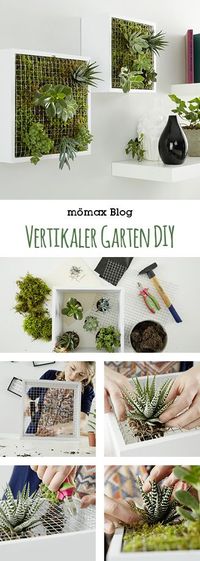 Vertikaler Garten für Innen selber machen, indoor gardening - leicht gemacht! Tolle DIY Idee!