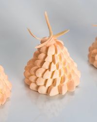 euxième découverte de notre collection été 2018 avec la très gourmande Pavlova pêche groseille de @ninametayer ! Encore quelques jours de