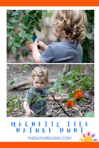 Magnetic Tile Nature Hunt