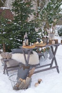 Midwinter Dream