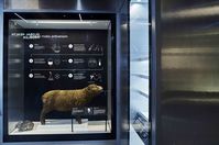 Natural History Museum, LondonVenom: Killer and Cure
