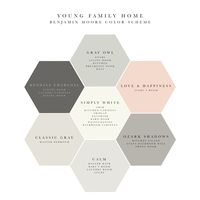 Soothing and elegant Benjamin Moore whole house color scheme!