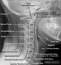 Radiología
